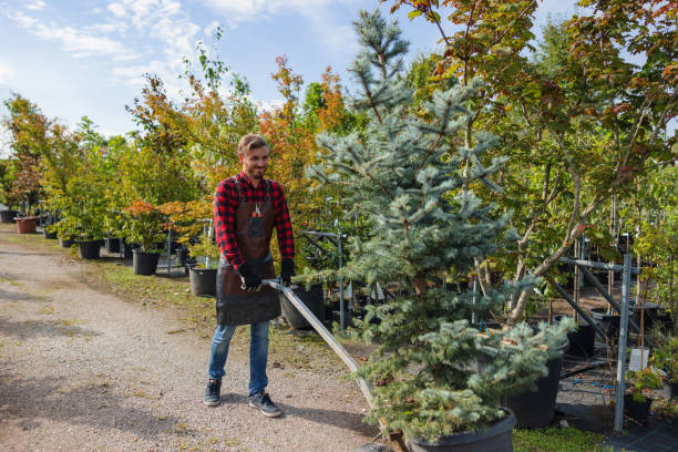 Best Seasonal Cleanup  in Tuscola, IL